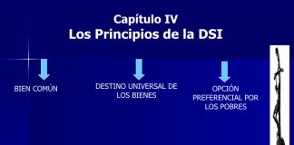 PRINCIPIOS DE LA DSI