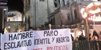 La misión de los laicos: la caridad política Papel del laico a la luz de la Doctrina social de la Iglesia