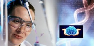 La biopolítica de los cuerpos