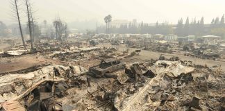 La tierra grita la agresión del hombre