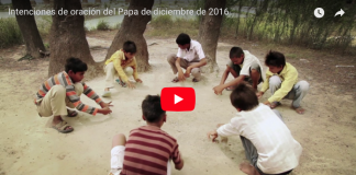Intenciones de oración del Papa Francisco para diciembre 2016