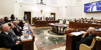 Papa Francisco: «la fraternidad como principio regulador del orden económico»