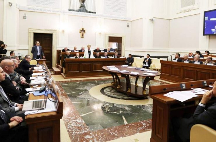 Papa Francisco: «la fraternidad como principio regulador del orden económico»