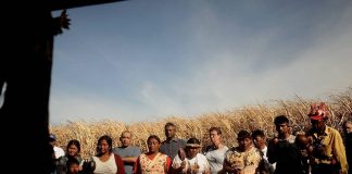 ¿La vida humana no vale más que la de un animal?