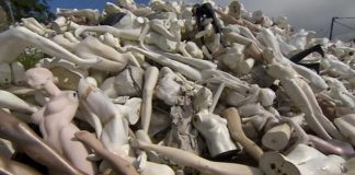 Orgullo NEOCAPITALISTA