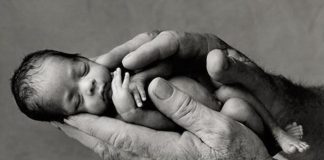 La cultura de la vida y las leyes que la amenazan.