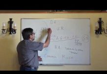 Los documentos del Concilio Vaticano II