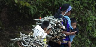 El Señor lo pide todo y no debemos conformamos con una existencia mediocre, aguada, licuada (Gaudete et exsultate) «El Señor lo pide todo, y nos ofrece la verdadera vida, la felicidad para la cual fuimos creados