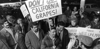 César Estrada Chávez: militante pobre en la lucha no violenta por la justicia Si somos sinceros debemos reconocer que nuestra vida es la única cosa que nos pertenece realmente. Por ello la forma como la empleamos revela qué clase de hombres somos.