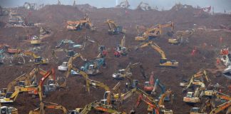 El cuidado de la casa común en la DSI La DSI desarrolló una enseñanza que ayuda a entender la relación «hombre-medio ambiente» y el conocimiento del papel de la Creación para trascender a Dios.