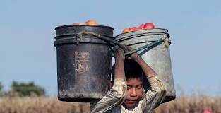 La dignidad del trabajo (Francisco) el trabajo es una prioridad humana y civil superior a cualquier otro factor de producción, incluido el capital (cf. CDSI 276)