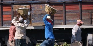 Trabajo-vocación-comunidad