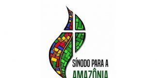 Misión, culturas y ecología en la Amazonia