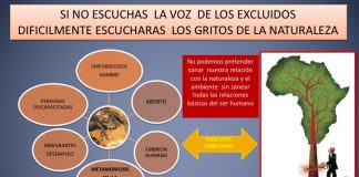 «No hay una ecología sin una adecuada antropología» doctrina social de la Iglesia