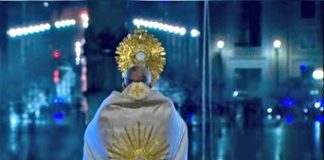 Pandemia y fraternidad universal