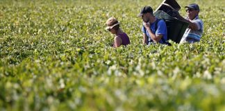 La dignidad del trabajo en un entorno laboral dramáticamente cambiante trabajadores dignidad