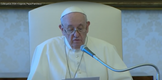 Las enfermedades sociales hoy catequesis papa francisco