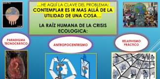 Cuidado de la casa común y actitud contemplativa