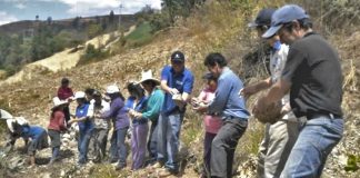 Construir una política arraigada en el pueblo y para el bien común