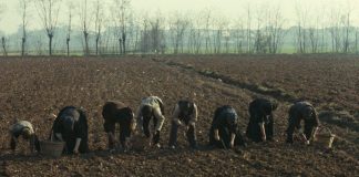 FAMILIA Y TRABAJO: LA ÚLTIMA TRINCHERA ¿Por qué hoy no es una prioridad política la defensa de la Familia y el Trabajo?