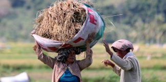 Solidaridad y Subsidiariedad subsidiariedad