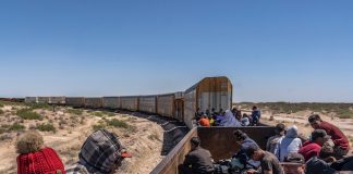 ‘La bestia’ (El tren de la muerte)