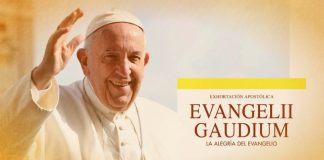10° ANIVERSARIO DE «EVANGELII GAUDIUM»