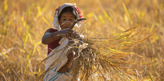 CONFERENCIA GLOBAL DEL FORO RURAL MUNDIAL (Francisco) mujer rural