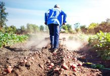 El trabajo humano en Gaudium et spes y Laborem exercens reino de dios