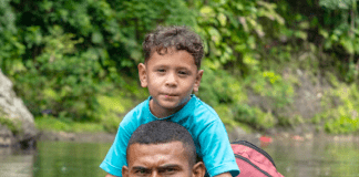 VERDE QUE TE QUIERO VERDE