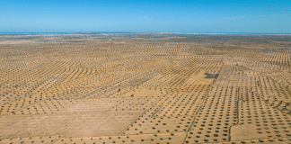 Un mundo deshabitado: sobran alimentos, faltan personas