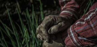 El trabajo de Adán y de todos los humanos