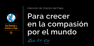 Para crecer en la compasión por el mundo