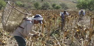 Trabajo y descanso en los evangelios