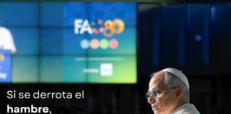 Mensaje del Papa Leon XIV en la FAO