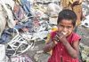 Hambre: más de 20.000 muertes diarias