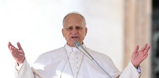 JORNADA MUNDIAL DE LA PAZ