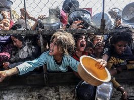 «Incluso uno solo de estos pequeños»