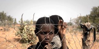 África y la guerra