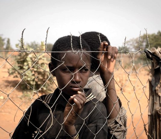 África y la guerra